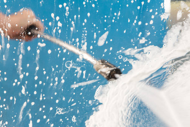 Best Driveway Pressure Washing  in Wesley Chapel, FL