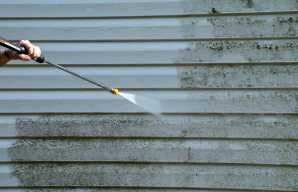Professional Pressure Washing in Wesley Chapel, FL