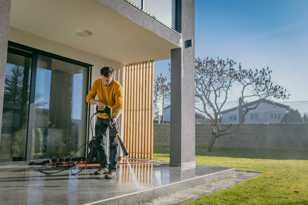 Best Solar Panel Cleaning  in Wesley Chapel, FL