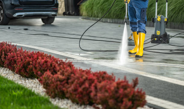 Best Driveway Pressure Washing  in Wesley Chapel, FL